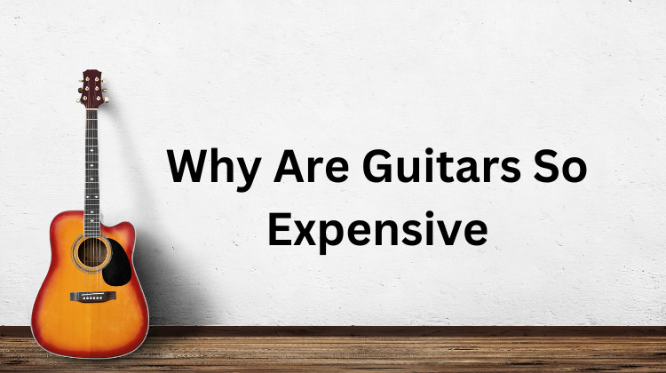 Why Are Guitars So Expensive