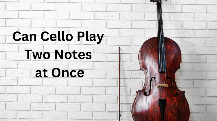 CAN CELLO PLAY TWO NOTES