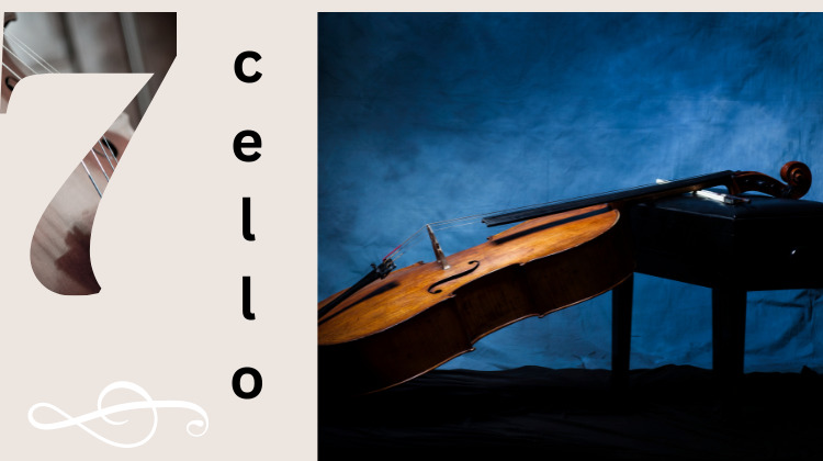 cello with 7 strings: complete guide
