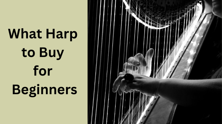 What Harp to Buy for Beginners