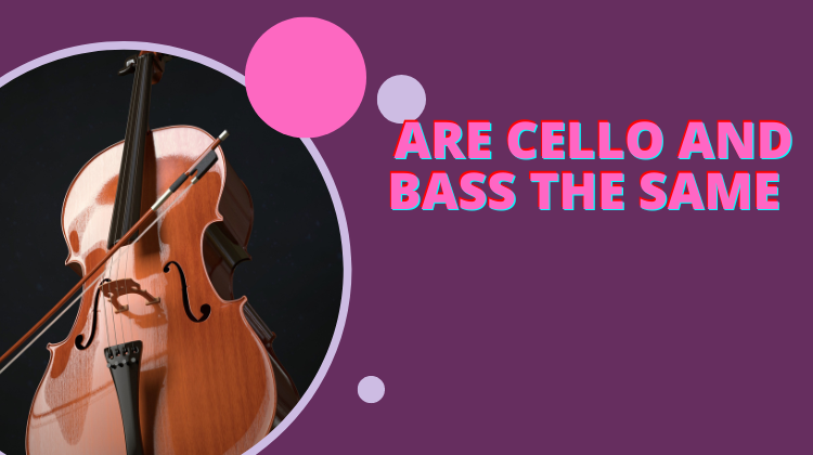 are cello and bass the same