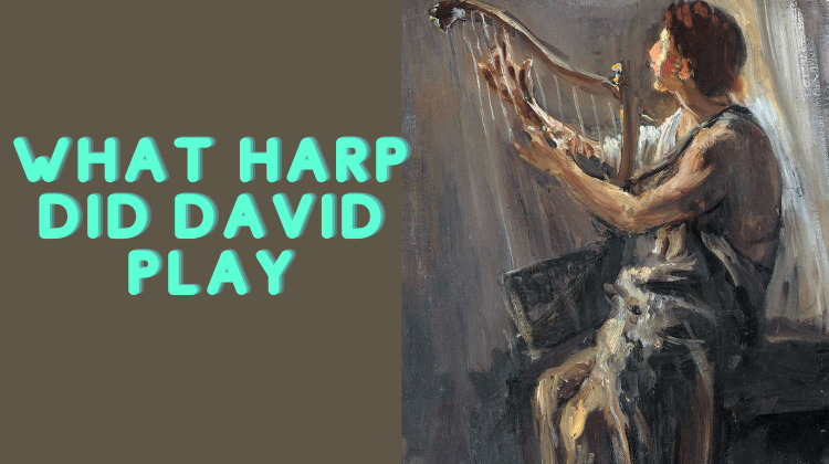 what harp did david play