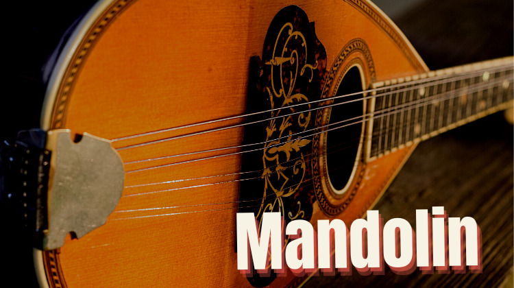 mandolin vs banjo